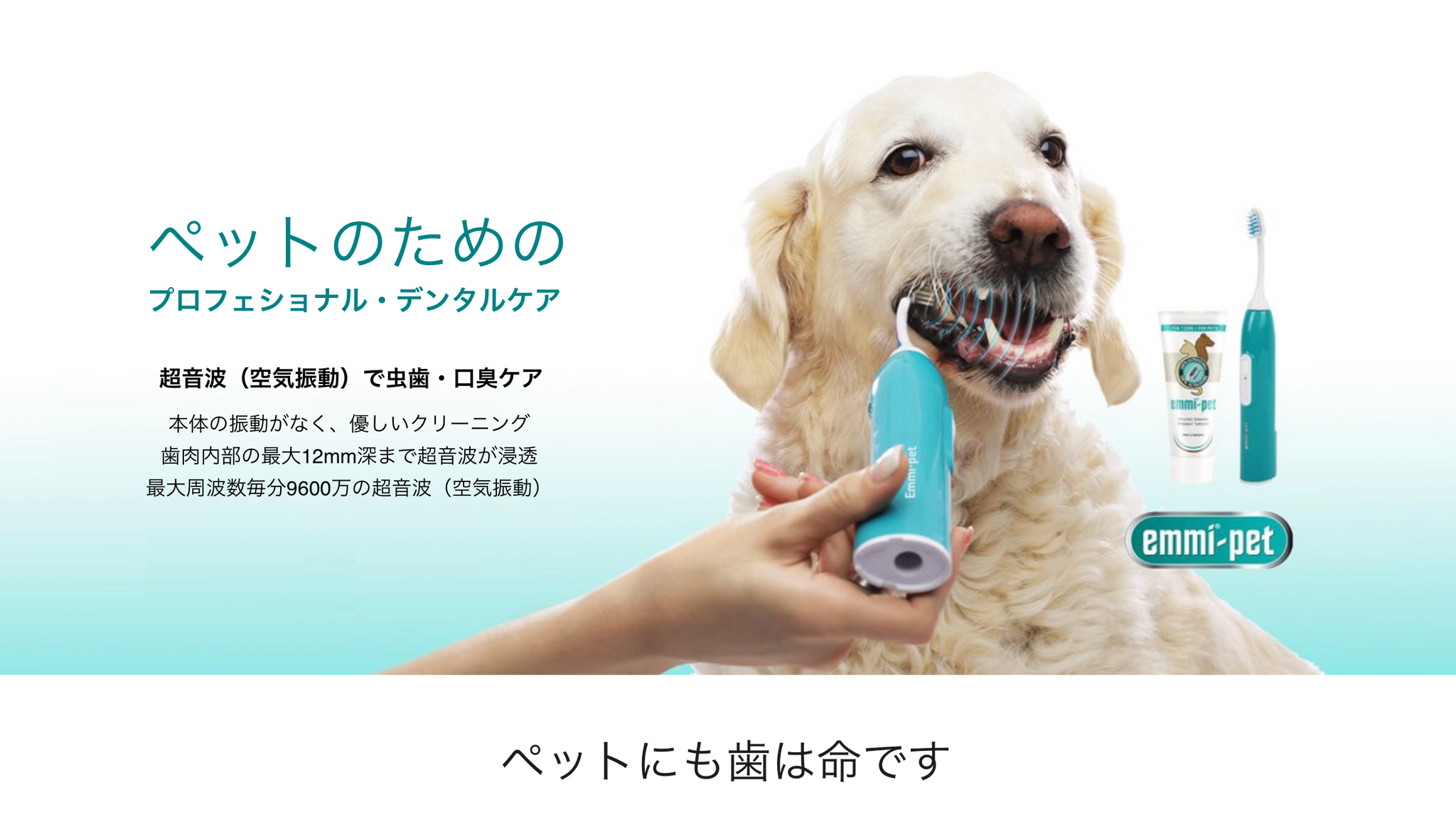 エミペット未使用品ドイツ製ペット用超音波歯ブラシ エミペット未使用品ドイツ製ペット用超音波歯ブラシ